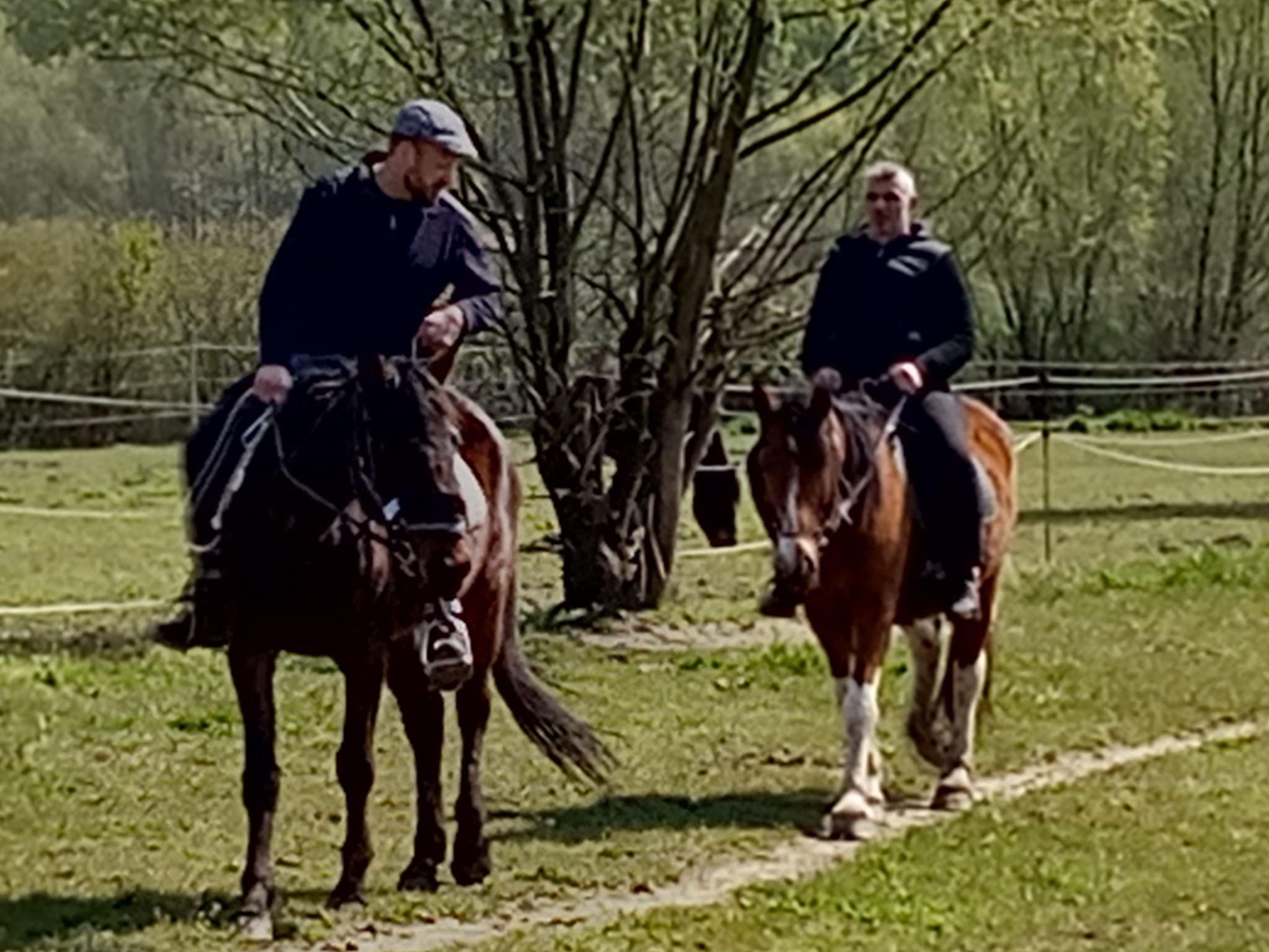 Obitelji i volonteri